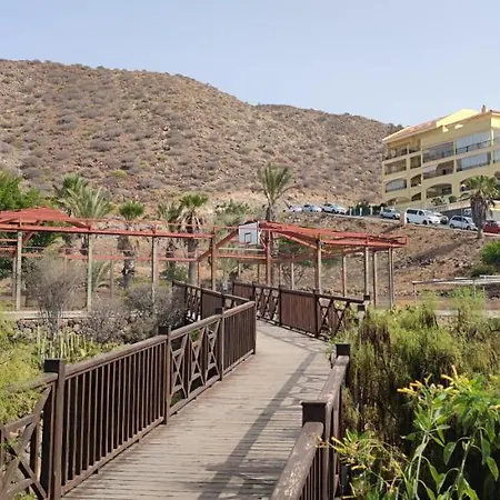 公寓 Feel At Home! Two Level With 2 Terraces And Swimming Pool 滨海帕尔姆